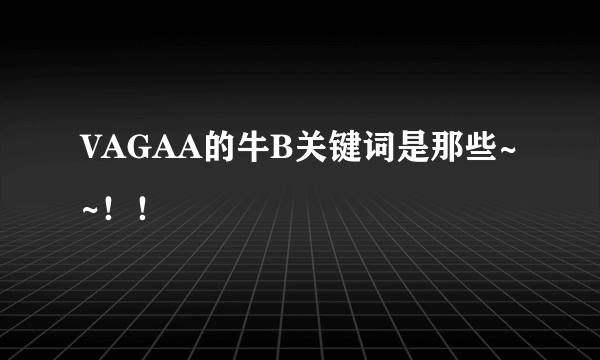 VAGAA的牛B关键词是那些~~！！