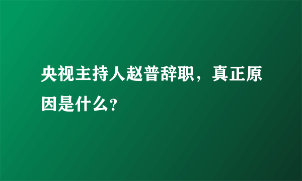 央视主持人赵普辞职，真正原因是什么？