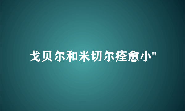 戈贝尔和米切尔痊愈小