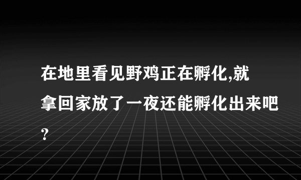 在地里看见野鸡正在孵化,就拿回家放了一夜还能孵化出来吧？