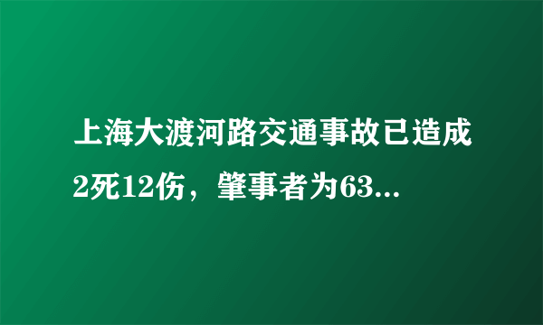上海大渡河路交通事故已造成2死12伤，肇事者为63岁男子, 你怎么看？