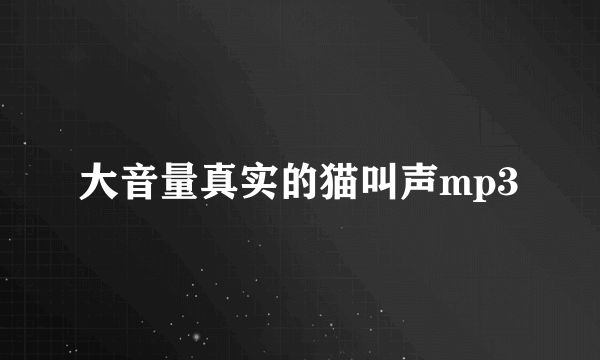 大音量真实的猫叫声mp3