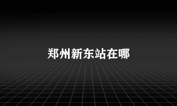 郑州新东站在哪