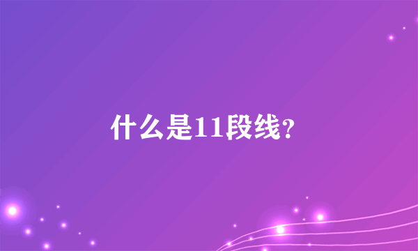 什么是11段线？