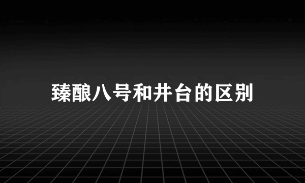 臻酿八号和井台的区别