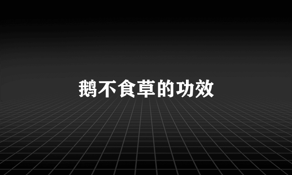 鹅不食草的功效