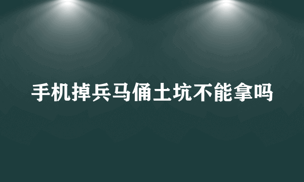 手机掉兵马俑土坑不能拿吗