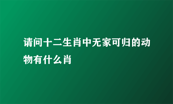 请问十二生肖中无家可归的动物有什么肖