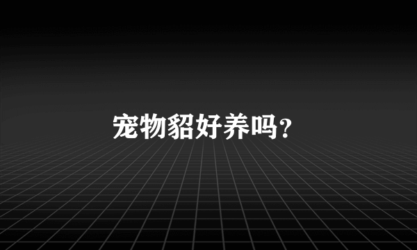 宠物貂好养吗？
