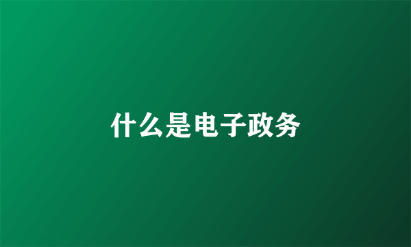 什么是电子政务
