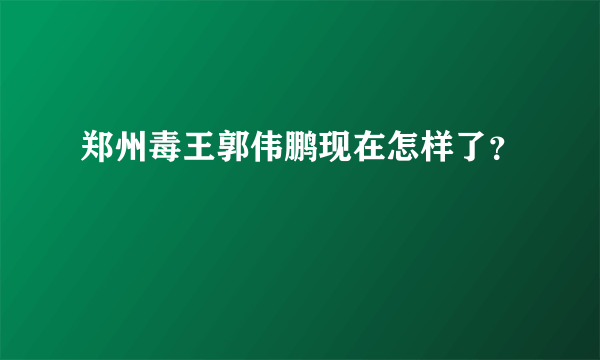 郑州毒王郭伟鹏现在怎样了？