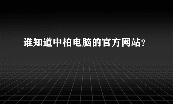 谁知道中柏电脑的官方网站？