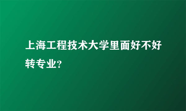 上海工程技术大学里面好不好转专业？