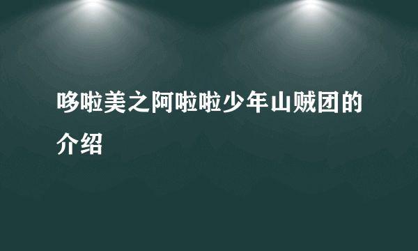 哆啦美之阿啦啦少年山贼团的介绍