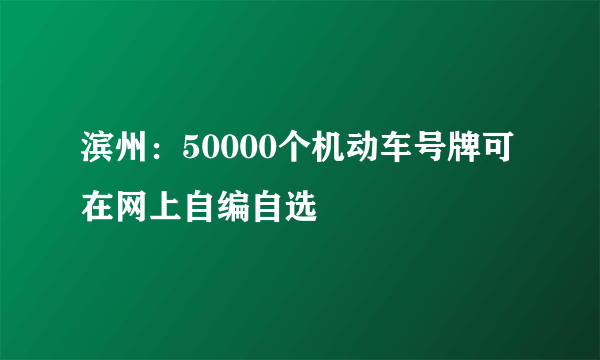 滨州：50000个机动车号牌可在网上自编自选
