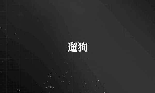 遛狗