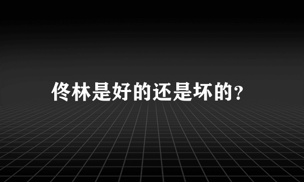 佟林是好的还是坏的？
