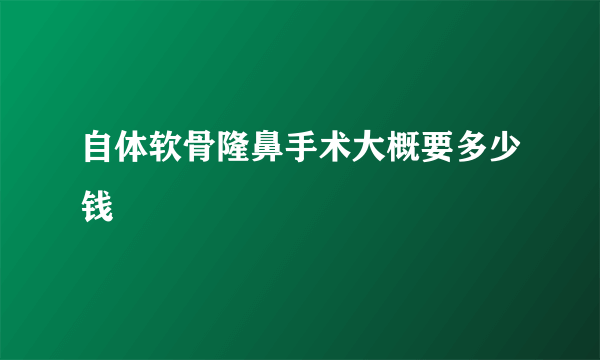 自体软骨隆鼻手术大概要多少钱