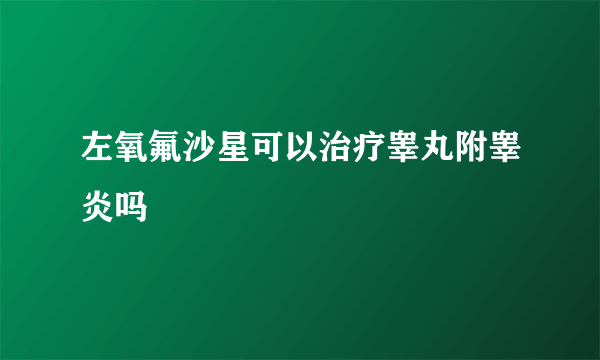 左氧氟沙星可以治疗睾丸附睾炎吗