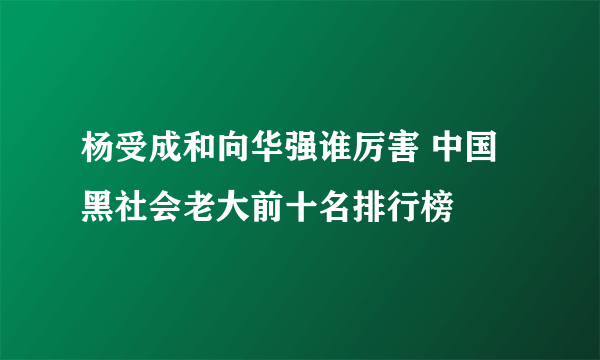 杨受成和向华强谁厉害 中国黑社会老大前十名排行榜