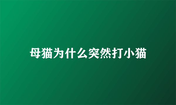 母猫为什么突然打小猫