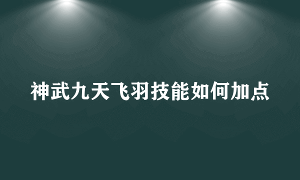神武九天飞羽技能如何加点
