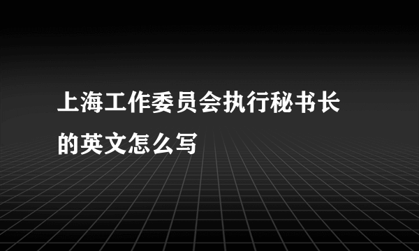 上海工作委员会执行秘书长 的英文怎么写