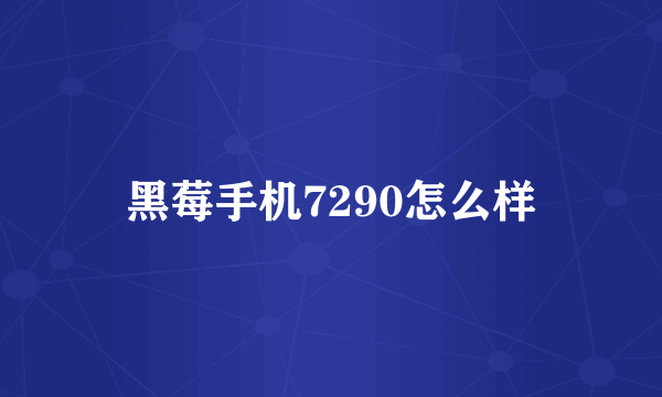黑莓手机7290怎么样