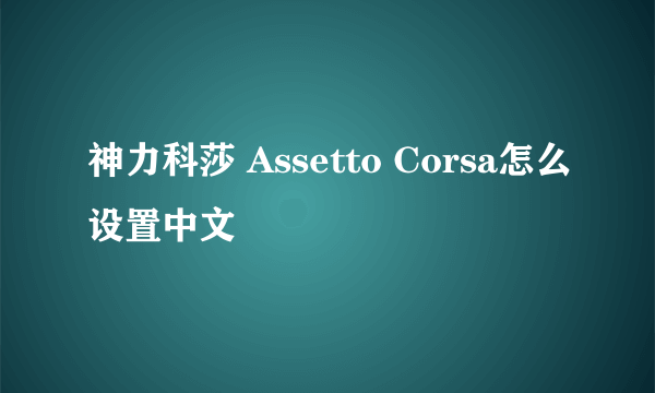 神力科莎 Assetto Corsa怎么设置中文