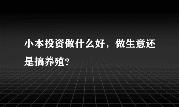 小本投资做什么好，做生意还是搞养殖？