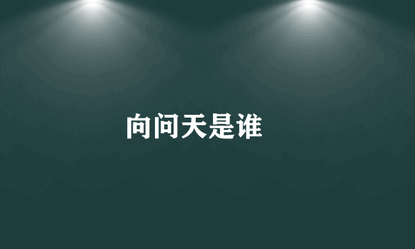 向问天是谁﹖