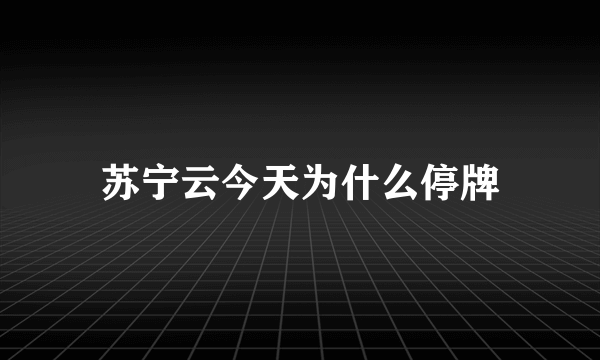 苏宁云今天为什么停牌