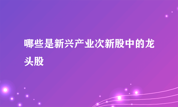 哪些是新兴产业次新股中的龙头股