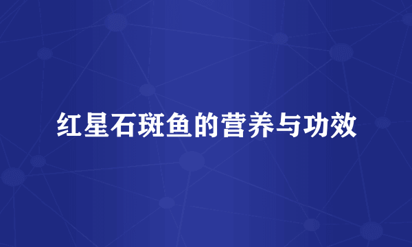 红星石斑鱼的营养与功效