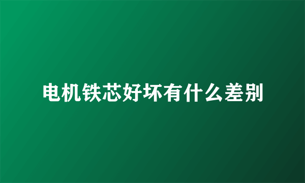 电机铁芯好坏有什么差别
