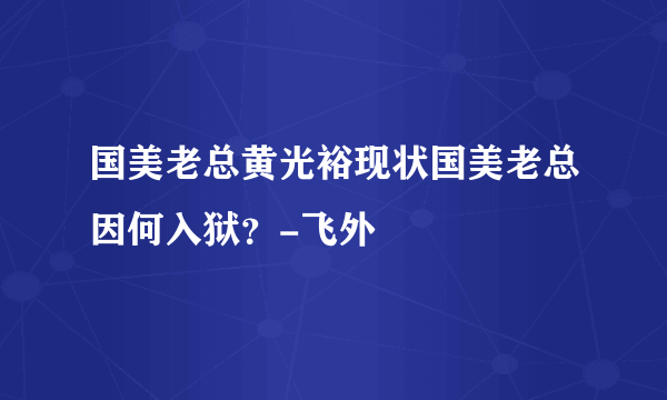 国美老总黄光裕现状国美老总因何入狱？-飞外