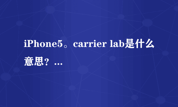iPhone5。carrier lab是什么意思？有没有什么影响