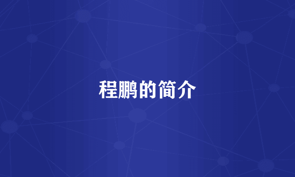 程鹏的简介