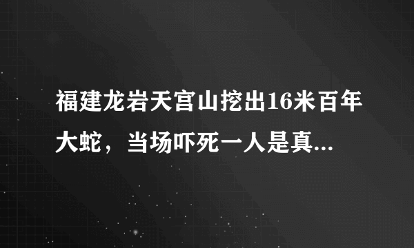 福建龙岩天宫山挖出16米百年大蛇，当场吓死一人是真的还是假的？
