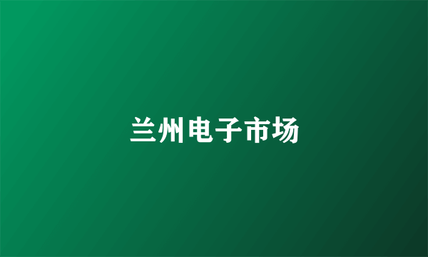 兰州电子市场