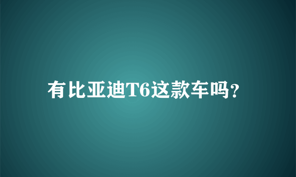 有比亚迪T6这款车吗？