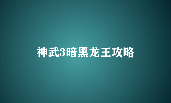 神武3暗黑龙王攻略