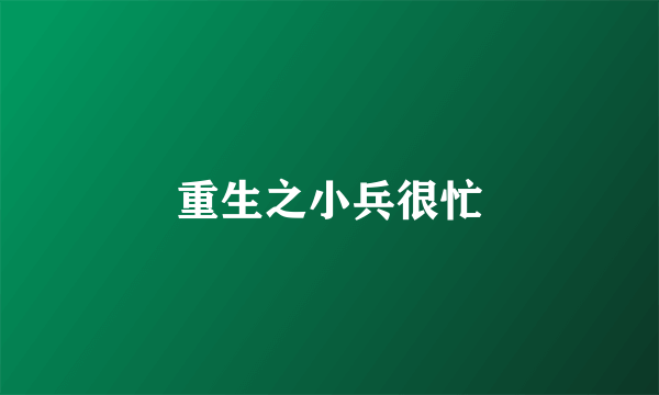 重生之小兵很忙