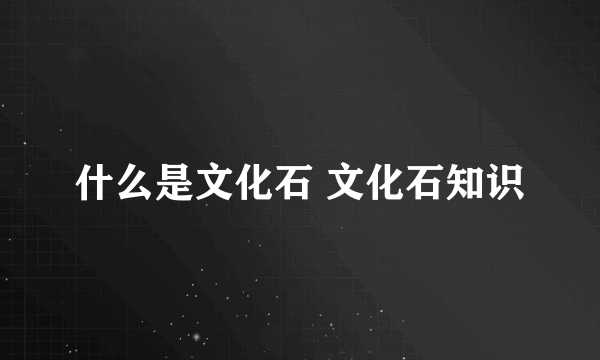 什么是文化石 文化石知识