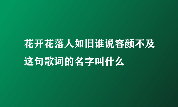 花开花落人如旧谁说容颜不及这句歌词的名字叫什么