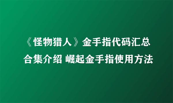 《怪物猎人》金手指代码汇总合集介绍 崛起金手指使用方法