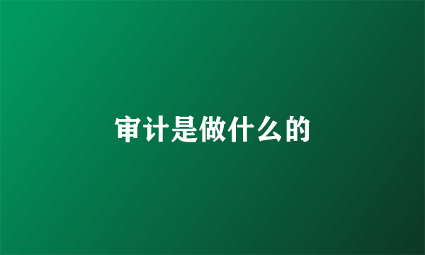 审计是做什么的
