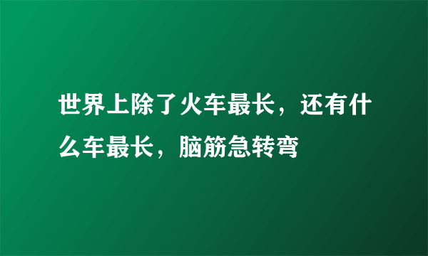 世界上除了火车最长，还有什么车最长，脑筋急转弯