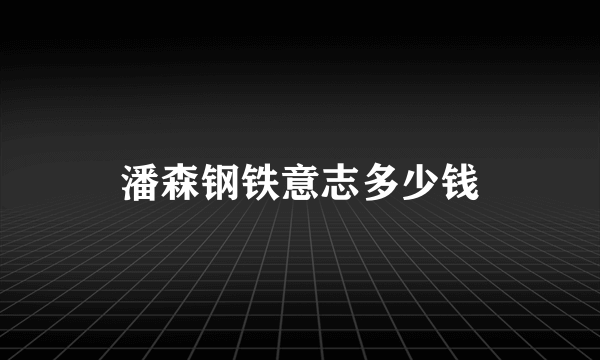 潘森钢铁意志多少钱