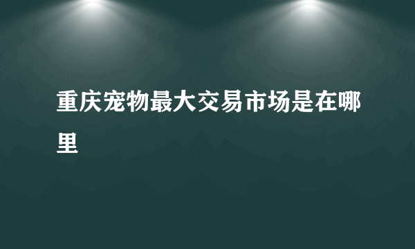 重庆宠物最大交易市场是在哪里